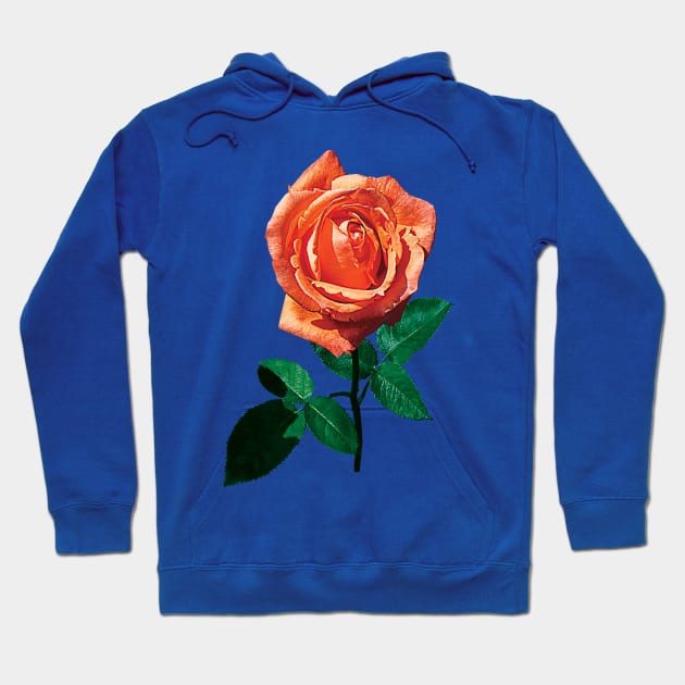 Roses - Graceful Orange Rose Hoodie by SusanSavad